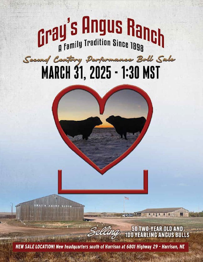 Grays Angus Sale Catalog