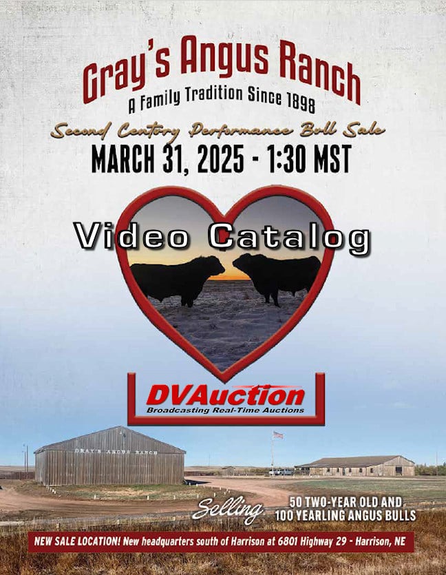 Video Catalog