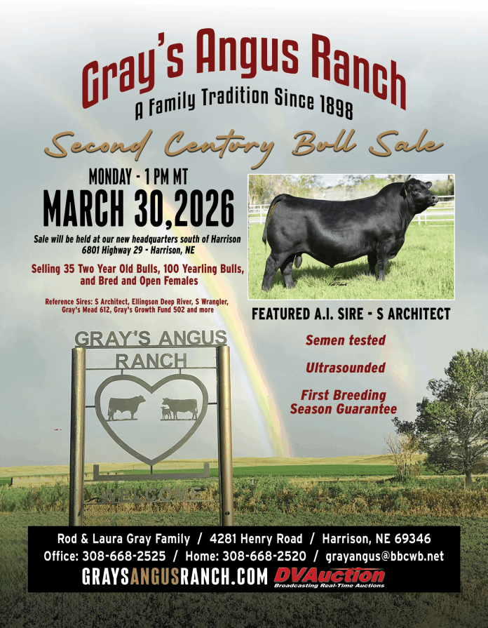 Grays Angus Sale Flyer